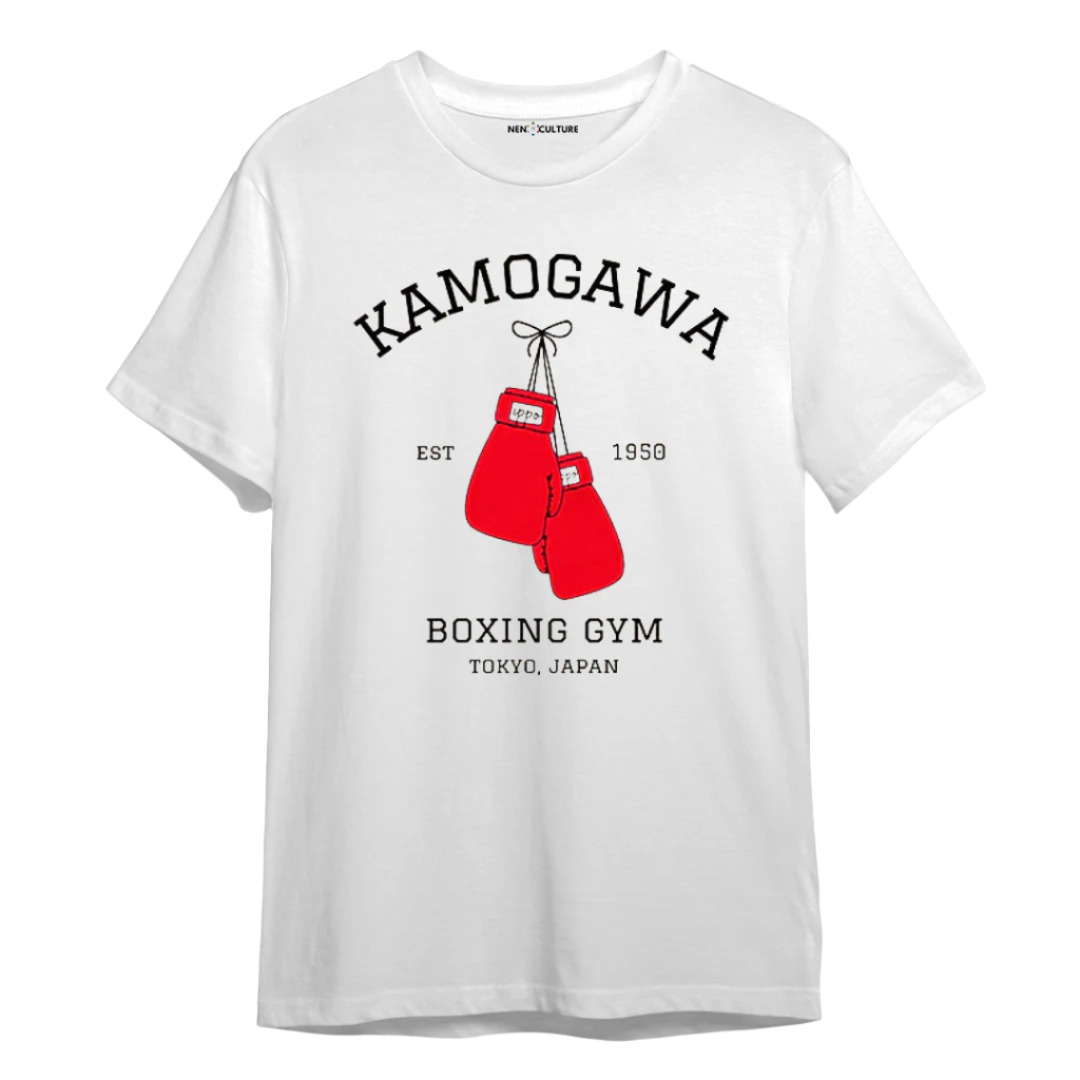 BOXING GLOVES -IPPO